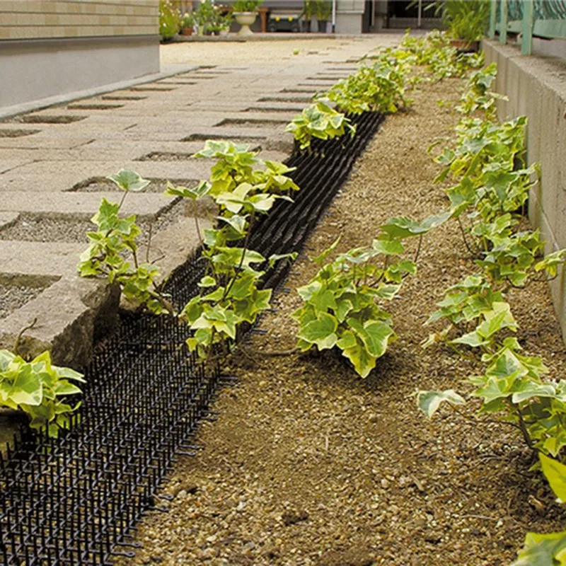 Защита от кошачьих шип привод для кошек приспособление защиты запутанной езды на