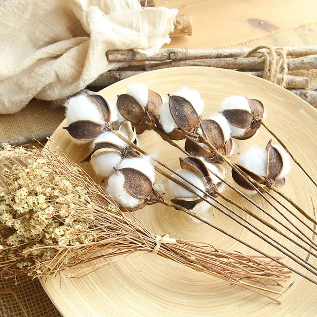 20 шт./Партия DIY естественные высушенные хлопковые стебли фермерский дом