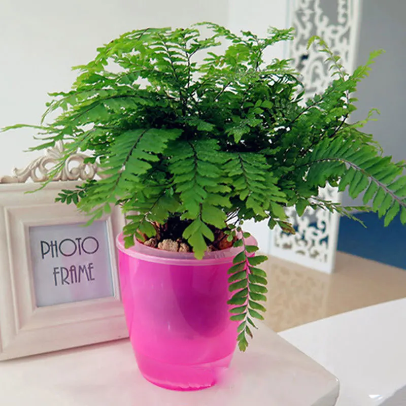 Цветочный горшок для кактуса автоматический самополива разные цвета