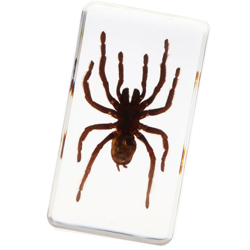 1 шт. детские игрушки с насекомыми спейманами отличная коллекция подарок для