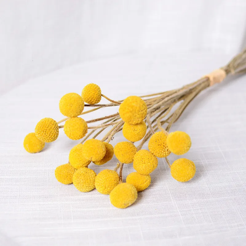 

10pcs Natural Dried Flower Billy Button Balls Bouquets Golden Balls Yellow Romantic Floral Wedding Home Decoration Dekoration