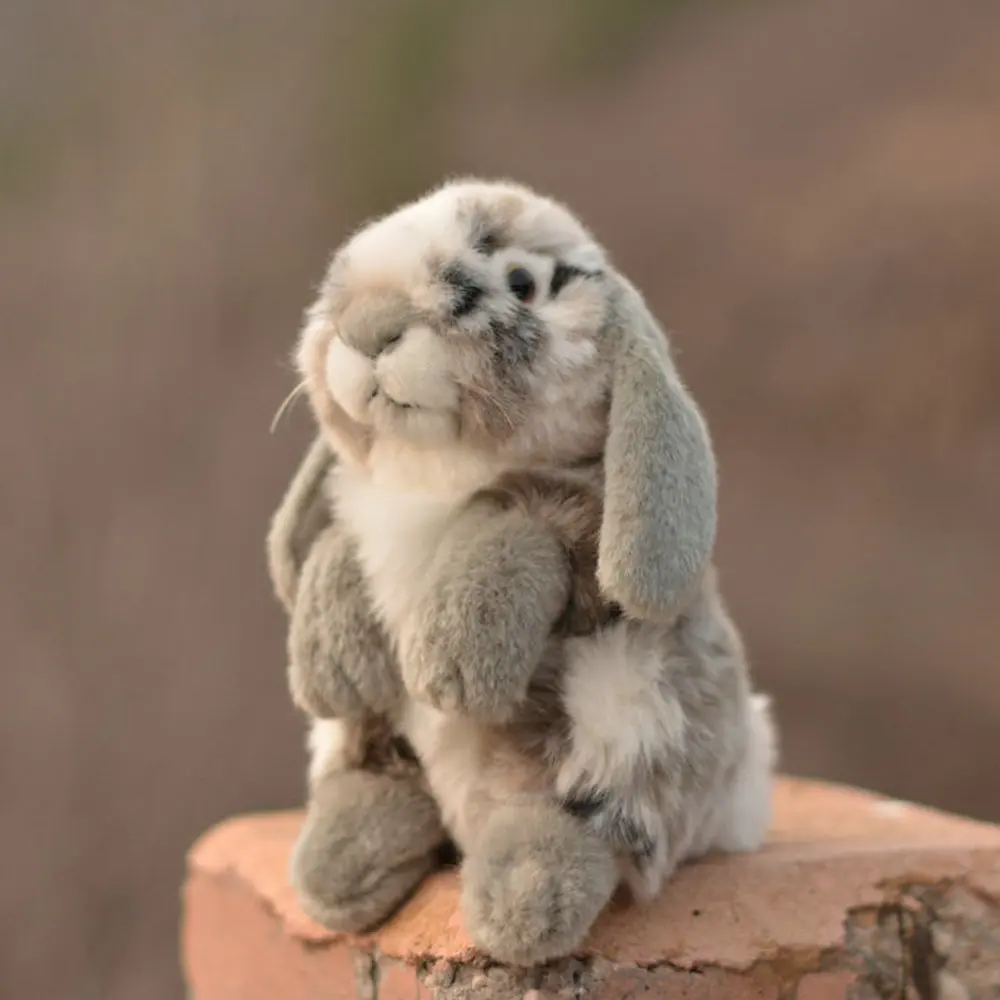 

Nijntje Knuffel Kawaii