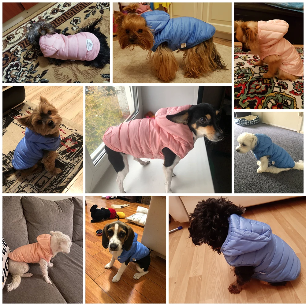 Одежда для собак зимнее хлопковое пальто чихуахуа мопса маленьких и средних