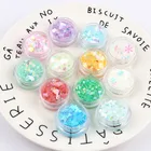 Смешанный дизайн, блестящий набор, порошок, рождественские украшения, пыль, маникюрный Пигмент 10 мл50 г