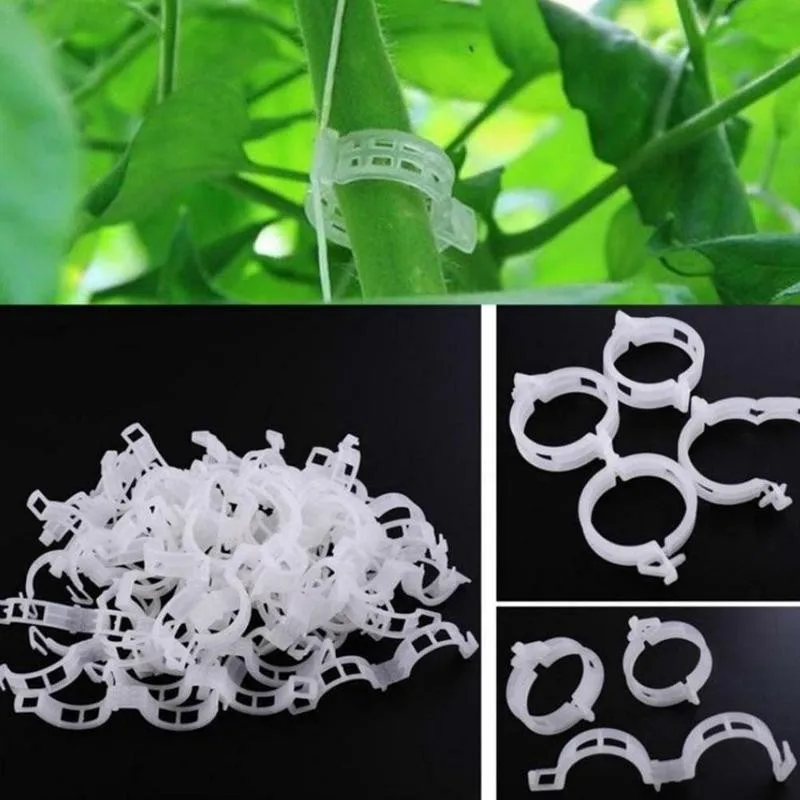 

Trellis Garden Vegetables Tomato Vine Stalks Grow Upright Agriculture Plant Clips Support Hot Plants For Garter Tools H9U9