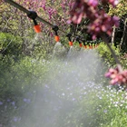 Комплект для полива сада, противотуманные форсунки, автоматическая система разбрызгивания 47 мм, шланг для полива с регулируемым разъем капельницы