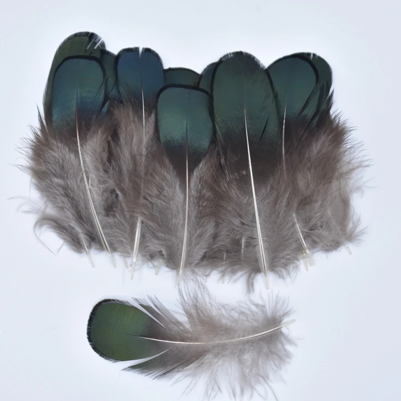 

DIY Small Feather Natural Pheasant Feathers for Clothes Peacock Feathers for Jewelry Making Carnaval Assesoires Plume Decoration