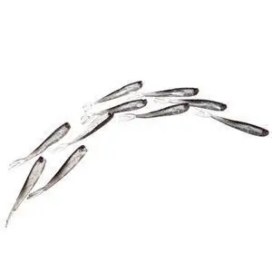 Приманка рыболовная пластиковая 13 см Мягкая приманка для рыбы 1 шт. | Спорт и