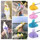 Шлейка для птицы, регулируемая, с поводком, для попугаев, с защитой от укусов