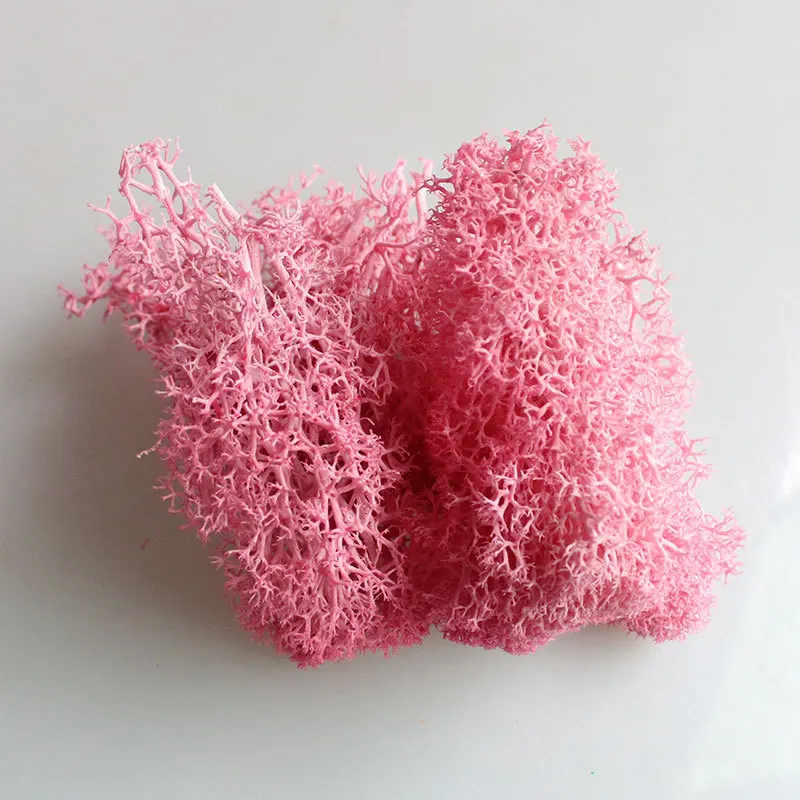 Deep-pink Йо Чо натуральный норвежский олень мох консервированный сушеный ремесло цветок тычинки украшение свадебное украшение для сказочного сада декор мускус - Цвет: Deep-pink