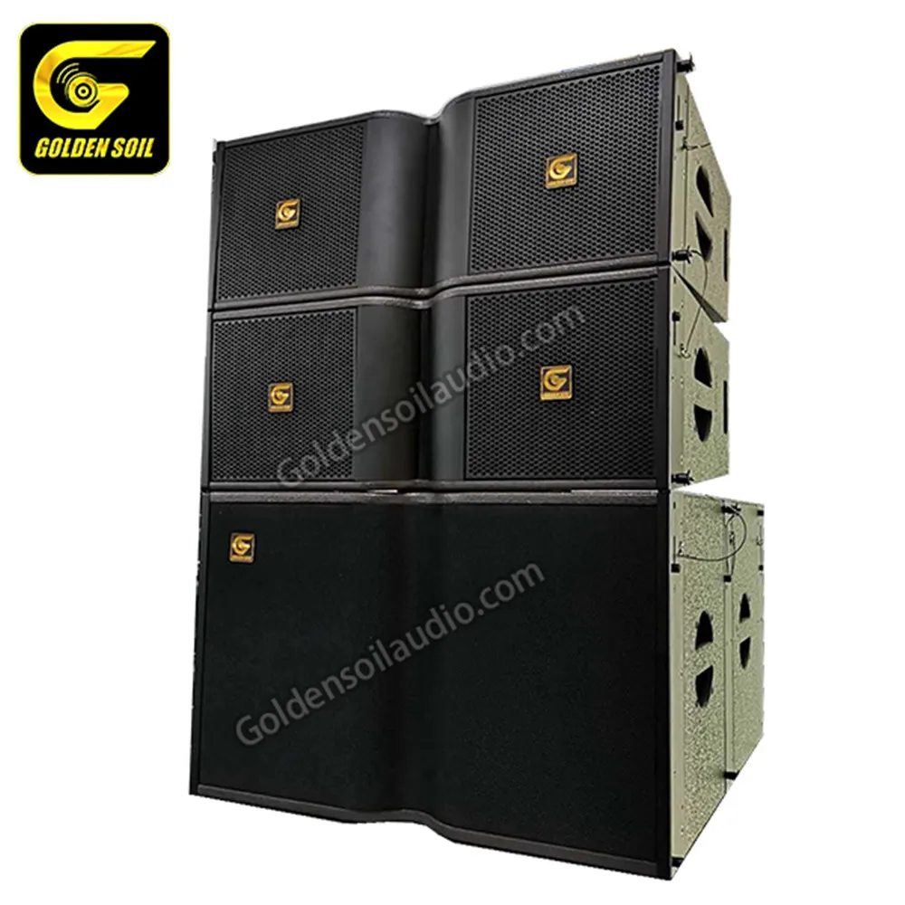 Goldenground Audio KR210 двойные 10 дюймовые пассивные колонки линейного массива