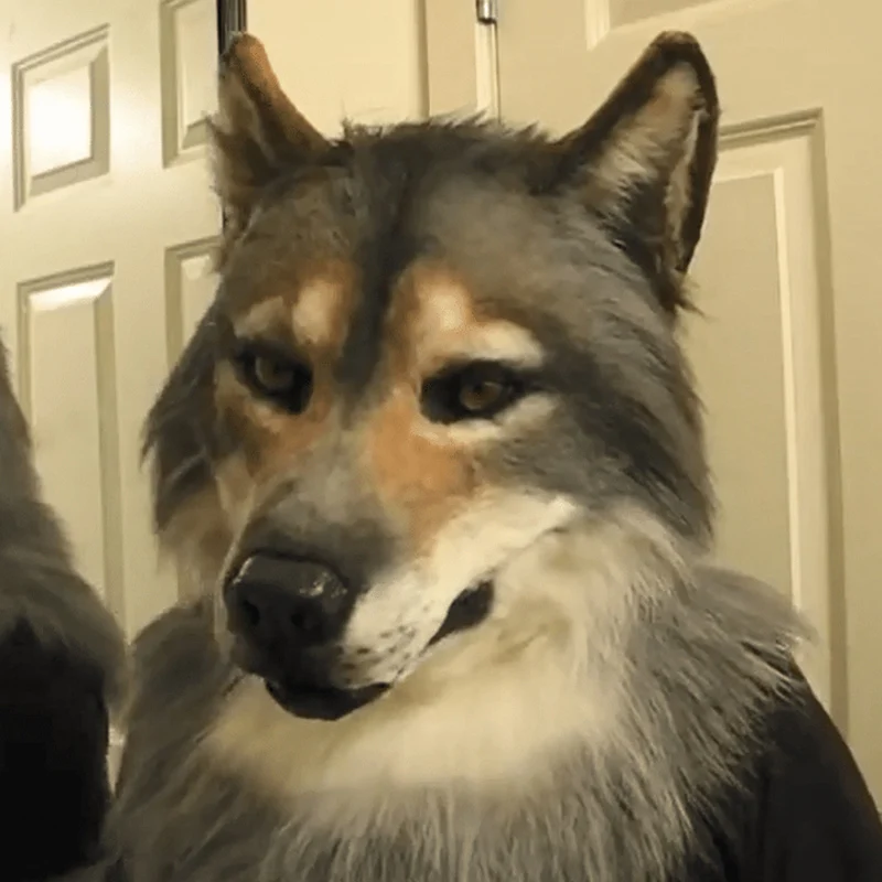 Головной убор с изображением животных орлы Хаски собака Черный кот головной на