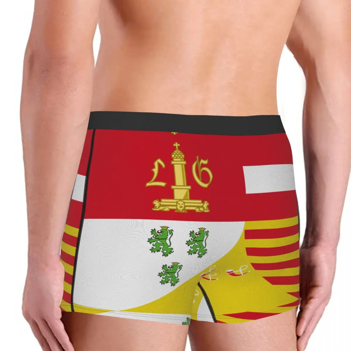 Flag Of The Province Of Liège Men's Boxer Briefs Belgian Funny Sarcastic elastic pants for men