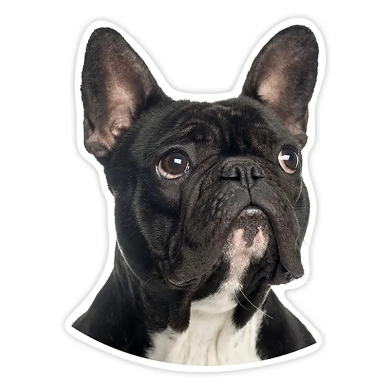 

Various Sizes Self-adhesive Decal French Bulldog Car Sticker Waterproof Auto Decors on Bumper Rear Window13*13cm