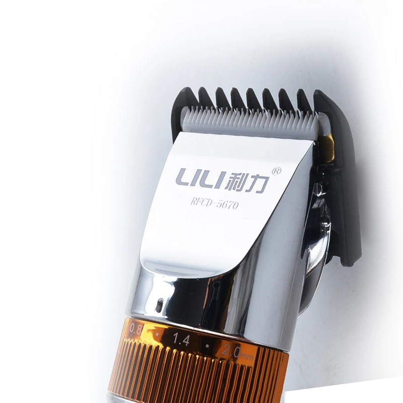 110 220 В LILI мА литиевая батарея Профессиональный Регулируемый Электрический