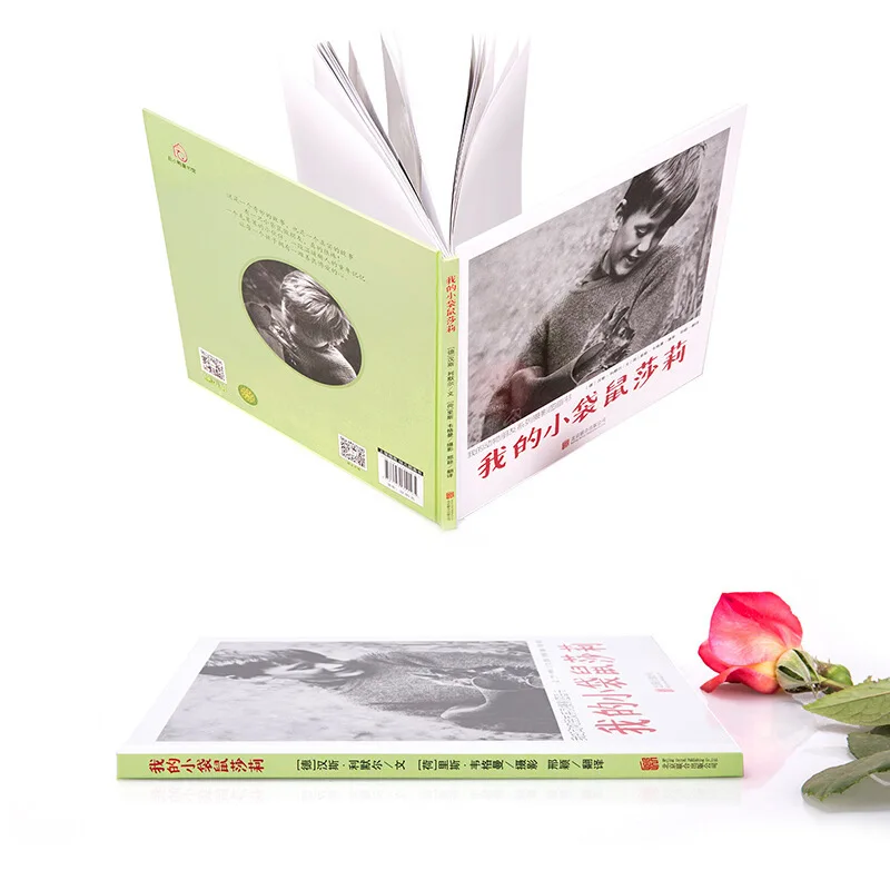 

My Wallabies Sally (Single) Picture Book Books