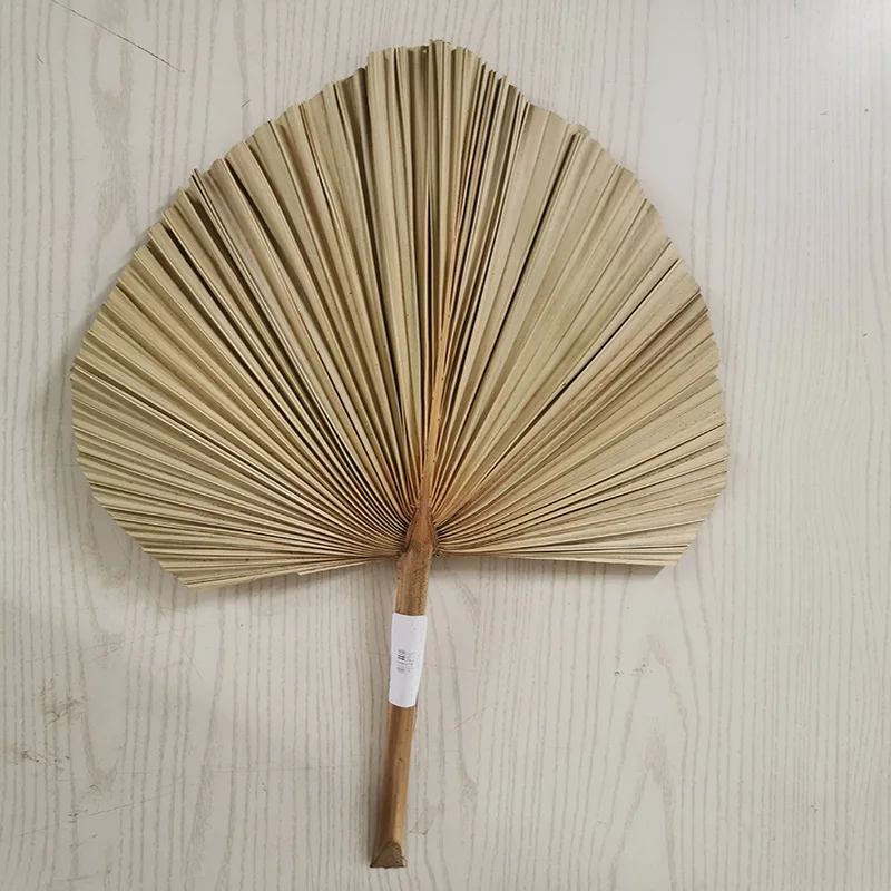 Palm Fan Leaf Dried Flower Window Reception Party Art Wall Hanging Decoration Wedding Arch Arrangement | Дом и сад