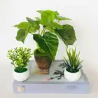 Искусственное растение для украшения сада, уличное искусственное растение, декор для комнаты подростка, украшение для праздвечерние чного стола, для украшения балкона и офиса, Комнатные растения бонсай