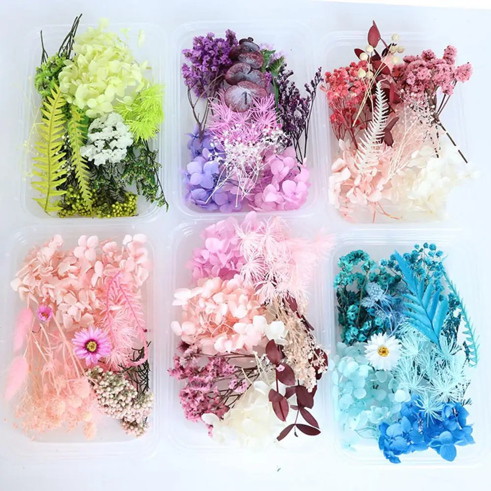 

Delicate 1 Box Attractive Handmade Dried Flower Model Dried Flower Dried Flower Decor Exquisite for Bedroom
