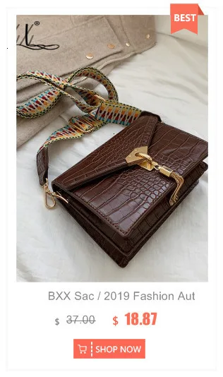 BXX Sac/ модные осенне-зимние роскошные женские сумки дизайнерские плиссированные мини-облако мини-кошелек для монет сумка ZE765