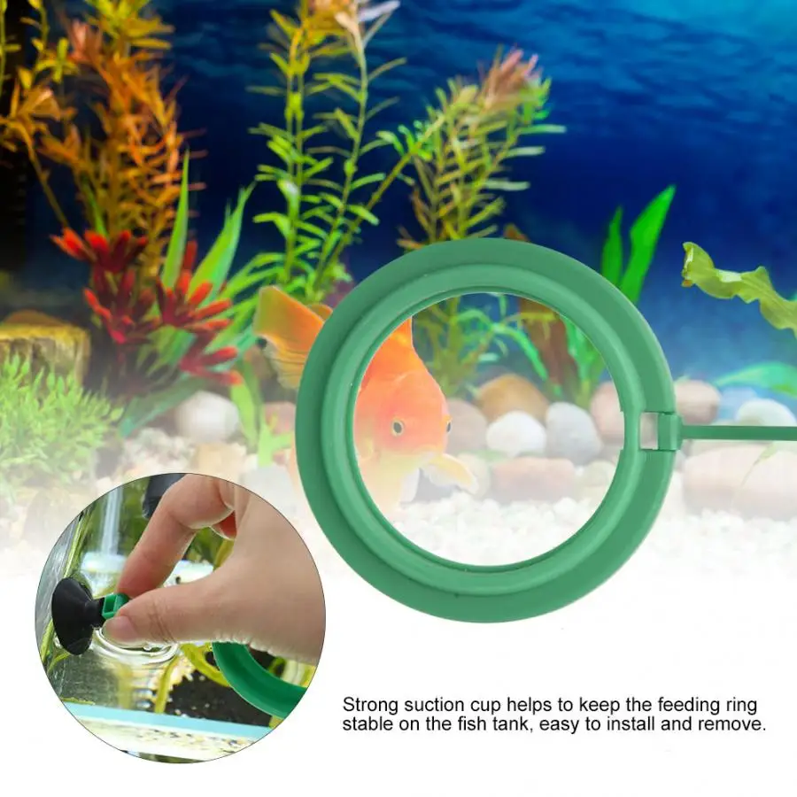 Кормушка для рыб аквариумная кольцевая кормушка плавающая пищевая водная