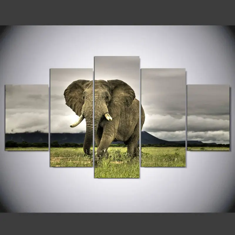 5 шт. декоративные Слоны на холсте для спальни гостиной | Дом и сад