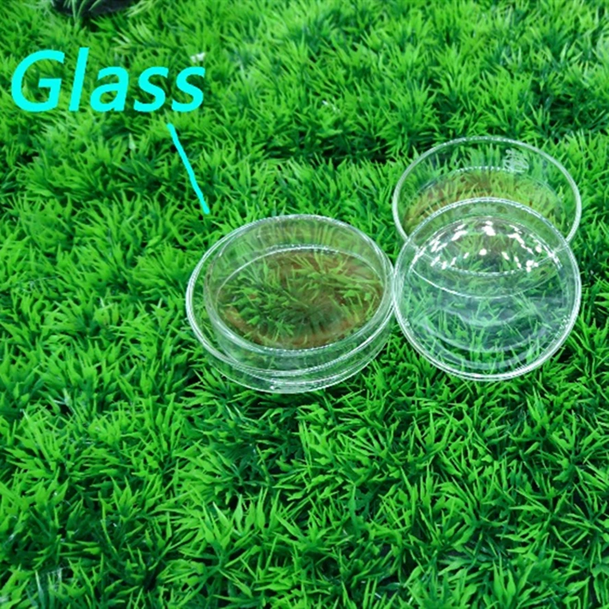 Новая стеклянная миска для кормления креветок контейнер раковины диаметр 6 см 7