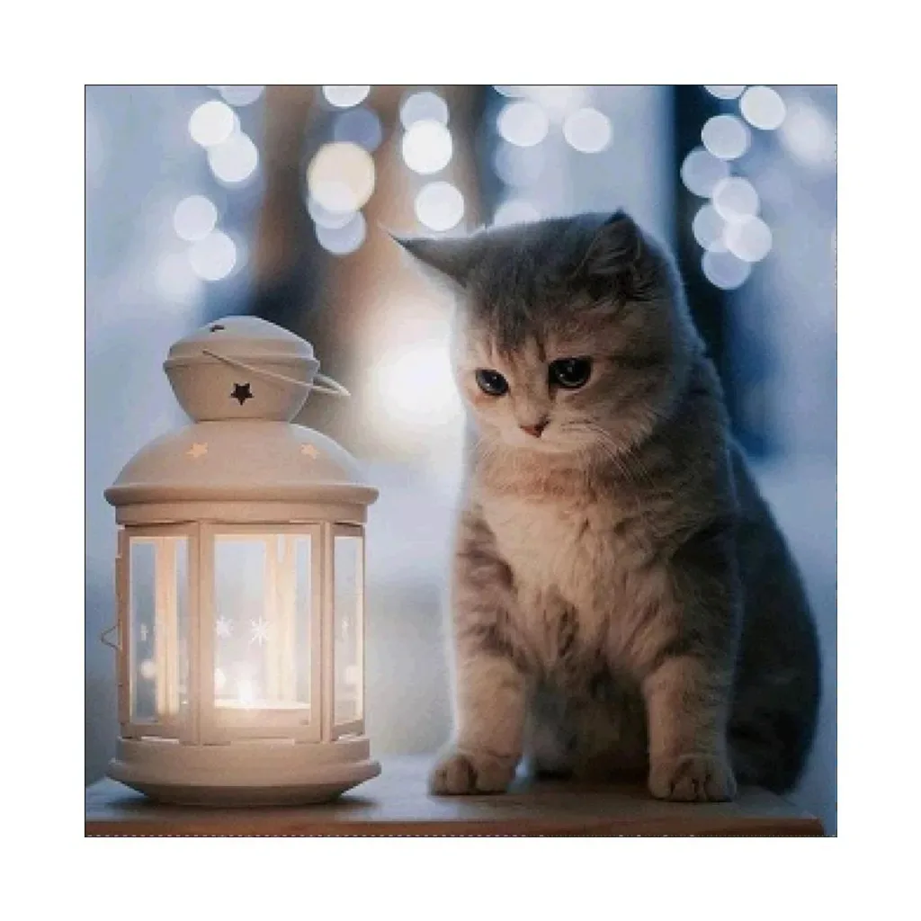 

Diamond painting animals cute little cat 5D DIY square round full diamond cross-stitch mural bedroom living room decoration gift