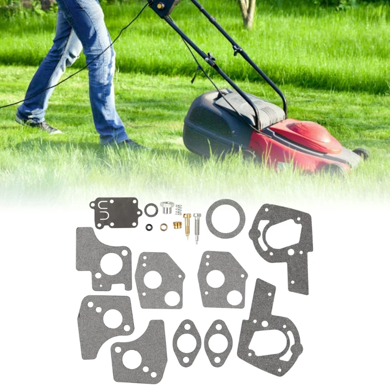 

495606 494624 Carburetor Overhaul Repair Rebuild Kit for Pulsa Jet Carb 80200 203F