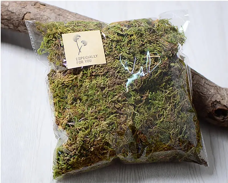 Сухой лесной мох 1 упаковка многоцелевой натуральный растительный