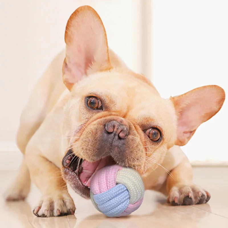 

Pet Dog Toys Interactive Cotton Rope Knot Toys Molar Bite Rubber Chew Ball Dogs Teeth Cleaning Chew Training Toys Pet Supplies