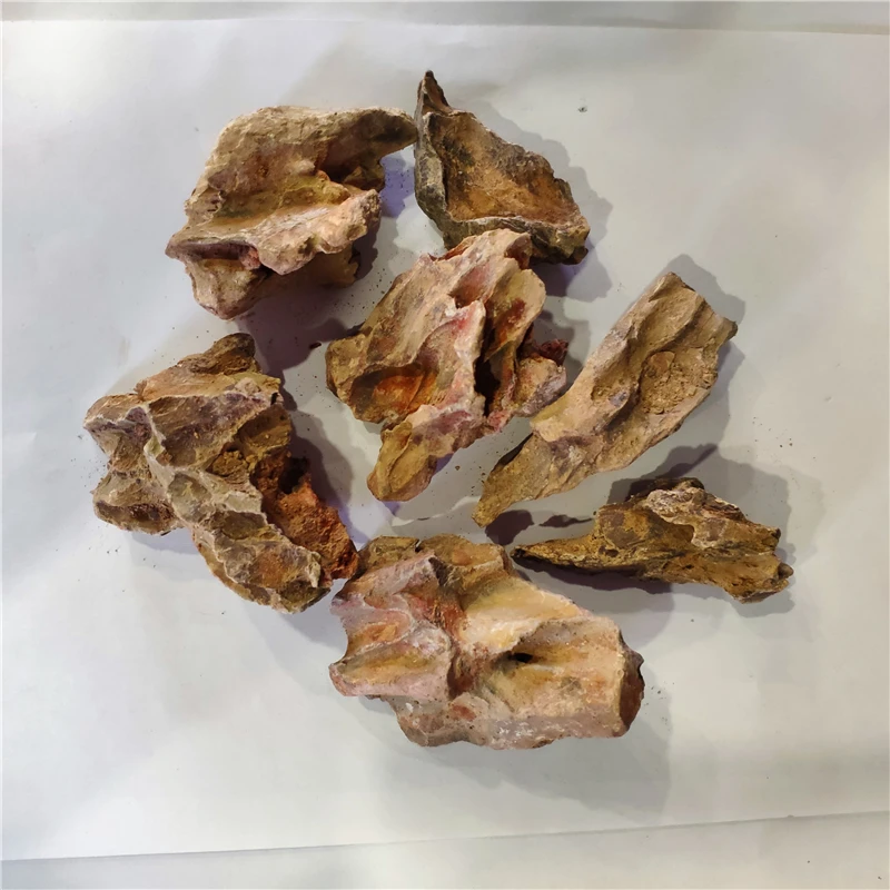 

Natural raw stone dragon stone ohko fish tank landscaping rockery aquarium decoration bonsai landscaping Water grass