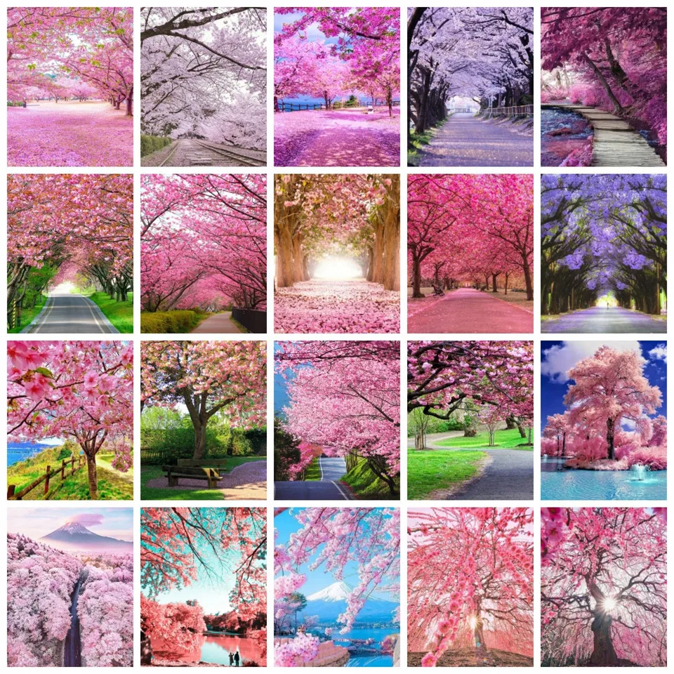 

AZQSD Diy Painting By Numbers Adults Tree Cherry Blossoms Drawing By Numbers Landscape Forest Home Decor Gift Wall Art