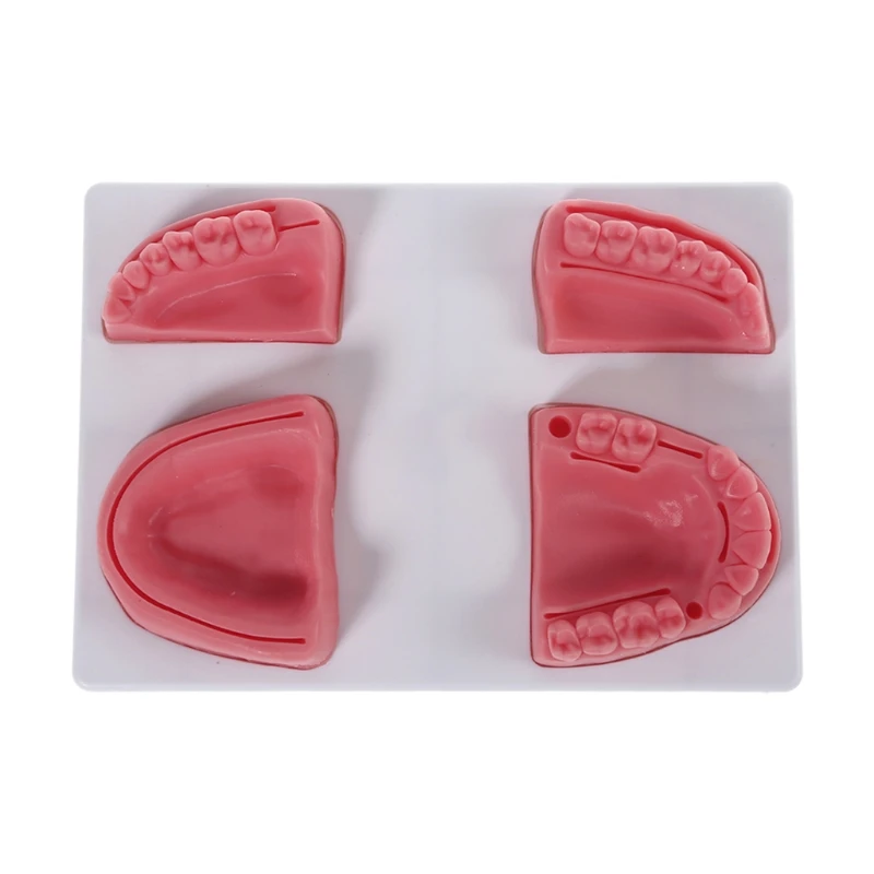 

87HA Multi-purpose Oral Suture Training Pad 1 x No Teeth Suture Pad 1 x Suture Pad with Teeth 2 x Half of Oral Suture Pads