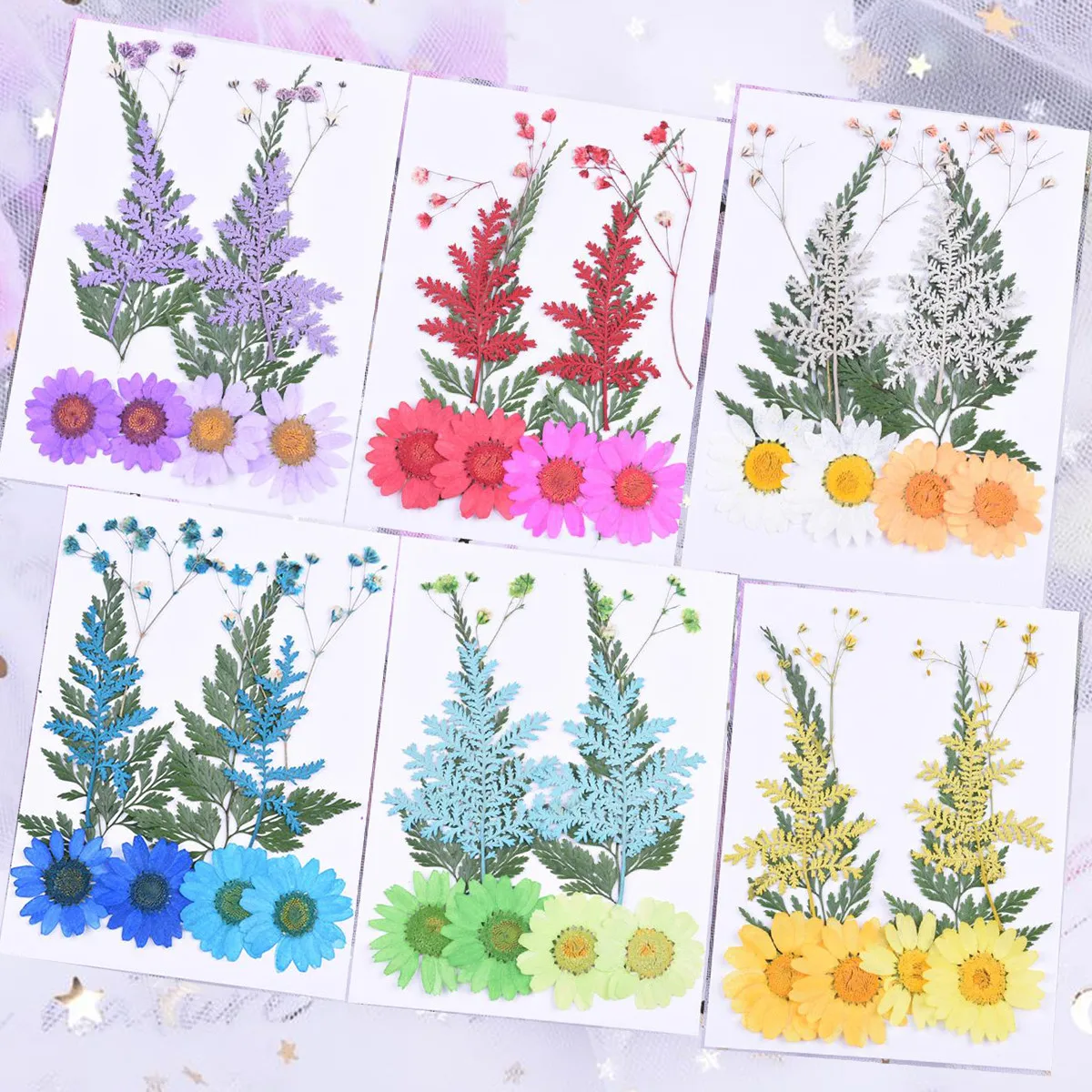 

Variety of Small Pressed Dried Flowers for DIY Scrapbooking Art Craft Decoration