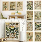 Винтажные холщовые постеры, бабочки, грибы, овощи, фрукты, цветы, насекомое, классические настенные наклейки, декор для комнаты, настенные картины