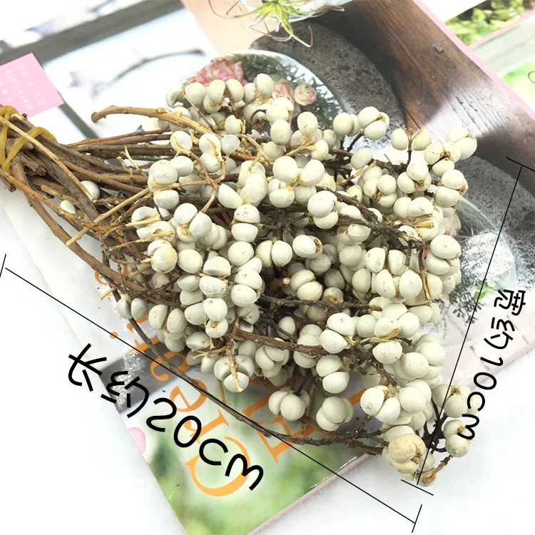 

Eternal Flower Valentine's Day Flower Material Ginkgo Gold and Silver Fruit Dried Fruit Eternal Flower DIY Material