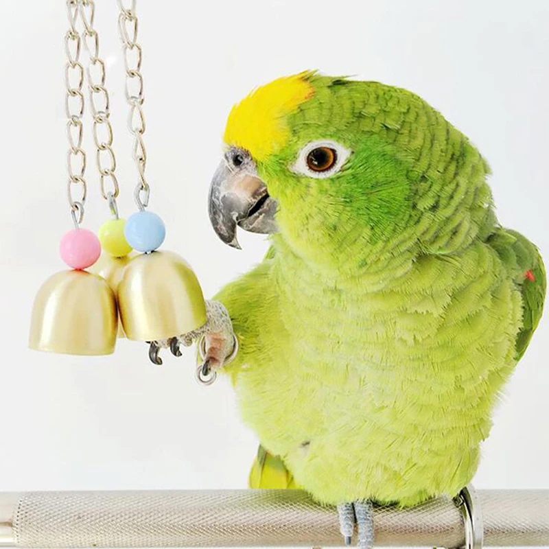 Cockatiel Parrot Toys Steel Hanging Bell Cage for Parrots Bird Squirrel Funny Chain Swing Toy Pet Supplies | Дом и сад
