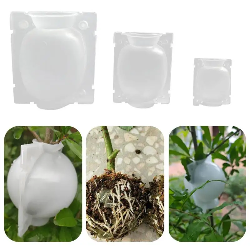 

New 1Pcs Plant Rooting Ball Grafting Rooting Growing Box Breeding Case For Garden Plant High-pressure Propagation Box Sapling