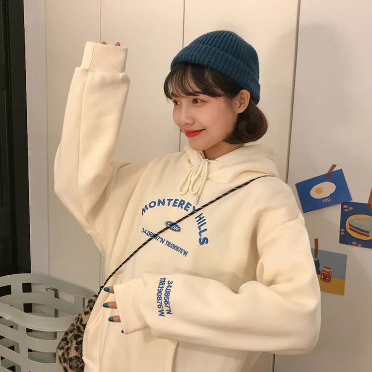 

5 colors 2019 autumn and winter preppy style letter embroidery pullover thick sweatshirts womens hoodies womens (F3893)