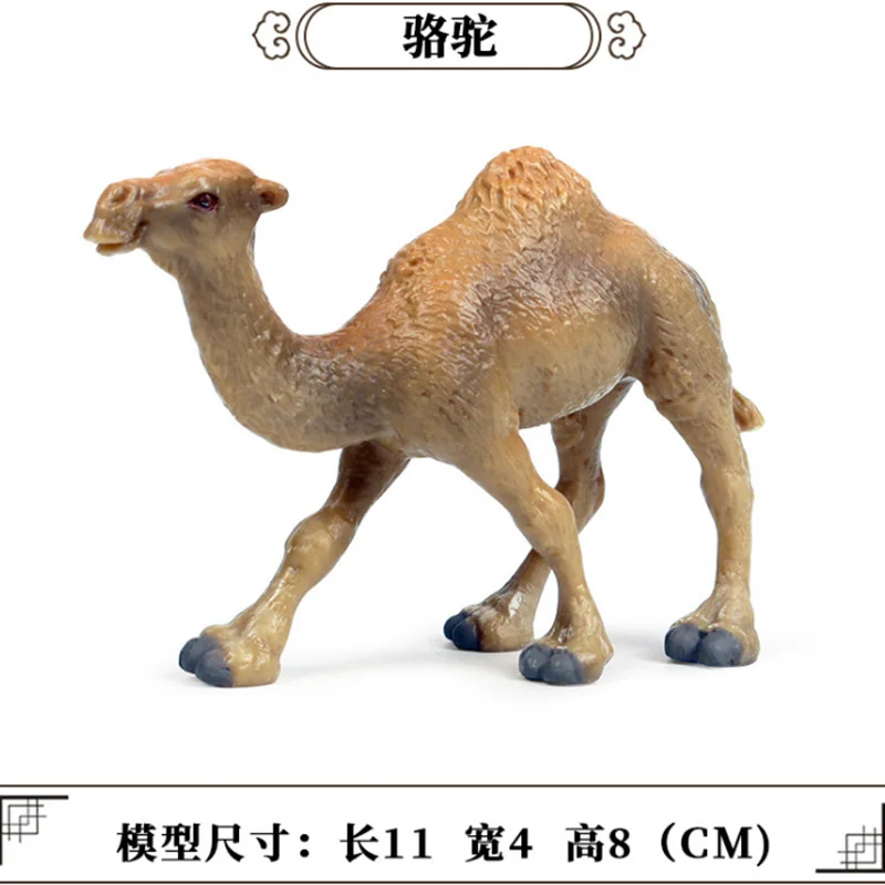 6 видов Твердые моделирование верблюда животных статуэтки коллекционные игрушки