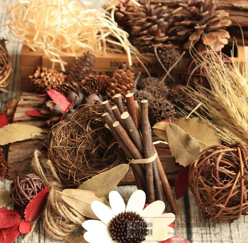 

Retro Forest Set Dry Leaves Branches Small Dried Fruit Rattan Bird Nest Rattan Ball Photography Props Background