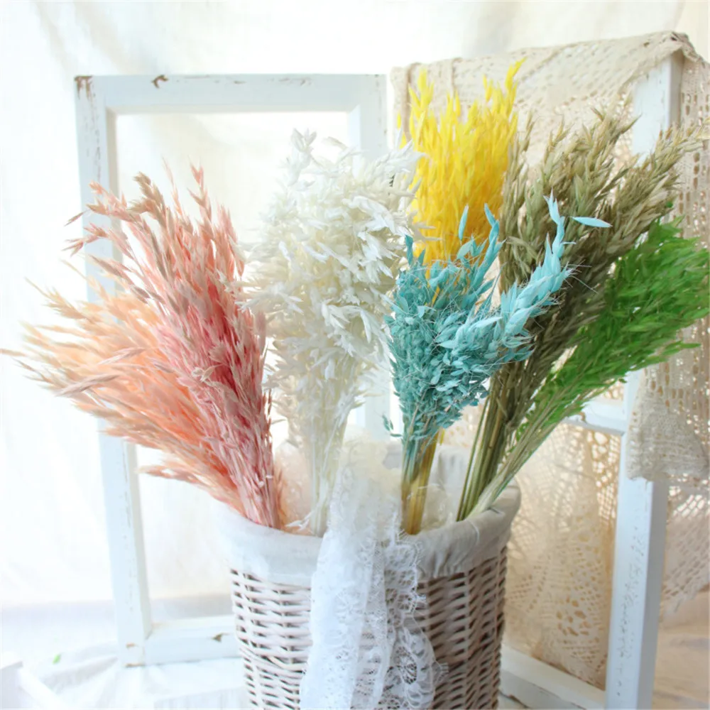

20pcs dried natural flower bouquets natural dried ear of oats bouquets oats ear bunches