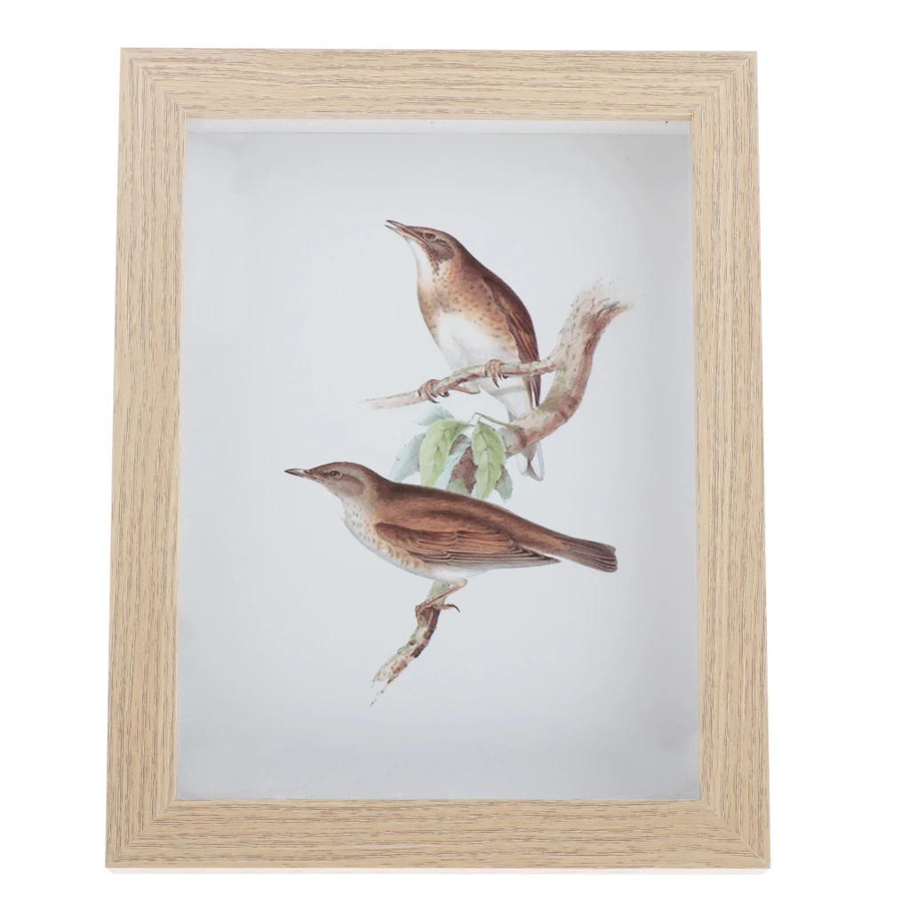 

Wood Photo/Picture Frame Glass Wooden Plant Specimen Holder Home Decoration