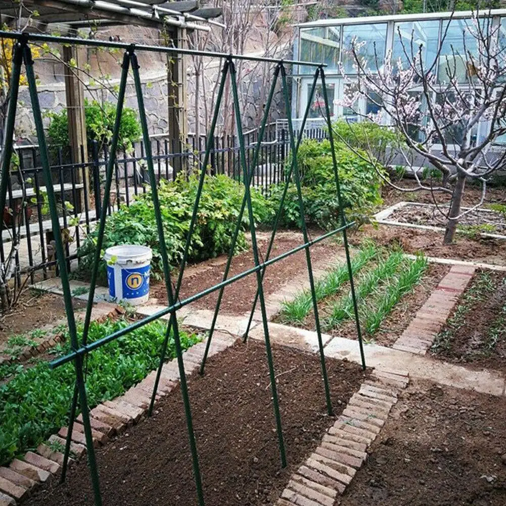 Набор кронштейнов для подъема растений стальной зажим сада лозы труб T0X7 | Дом и