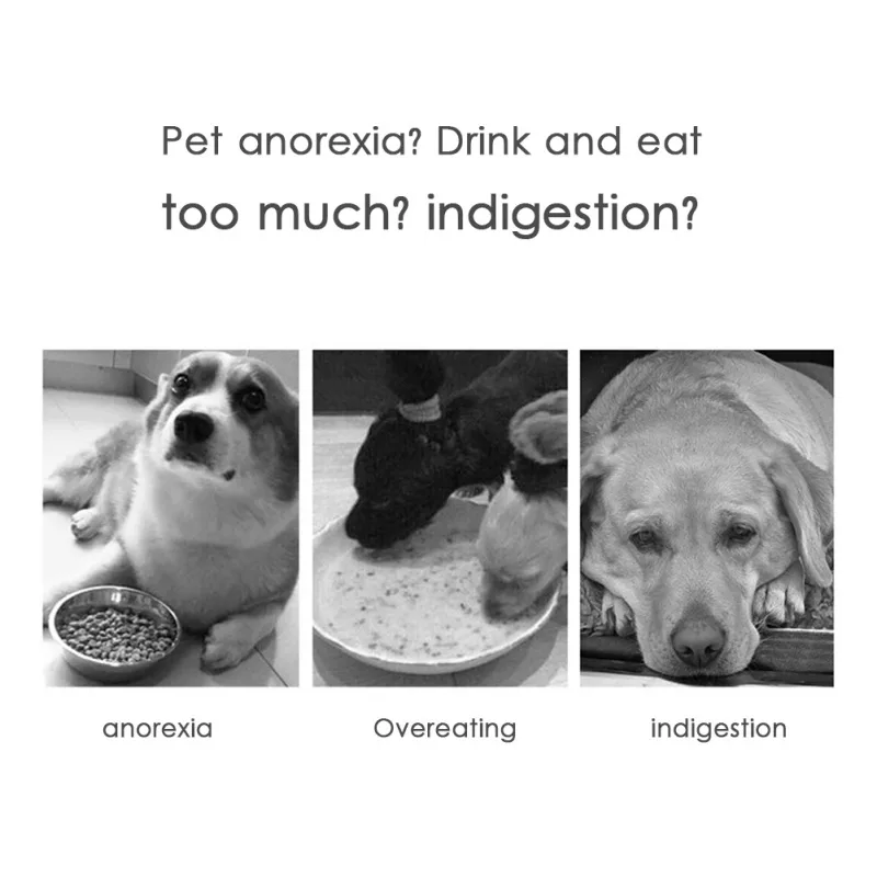 

Pet Slow Food Bowl And Dog Choking Prevention Bowl Pet Feeding Cat Water Bowl For Cats Food Pet Bowls For Dogs Feeder T