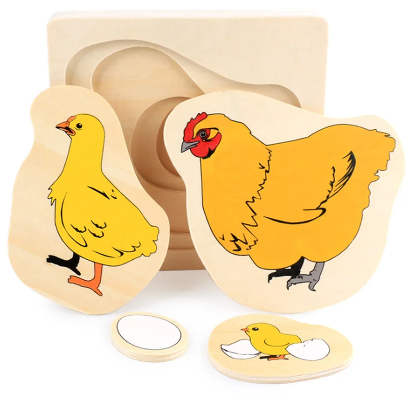 Учебное пособие по методике Монтессори для малышей жизненный цикл животных