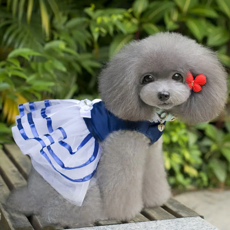 2020 полосатая сетчатая летняя юбка для собак Одежда маленьких Платье милое платье