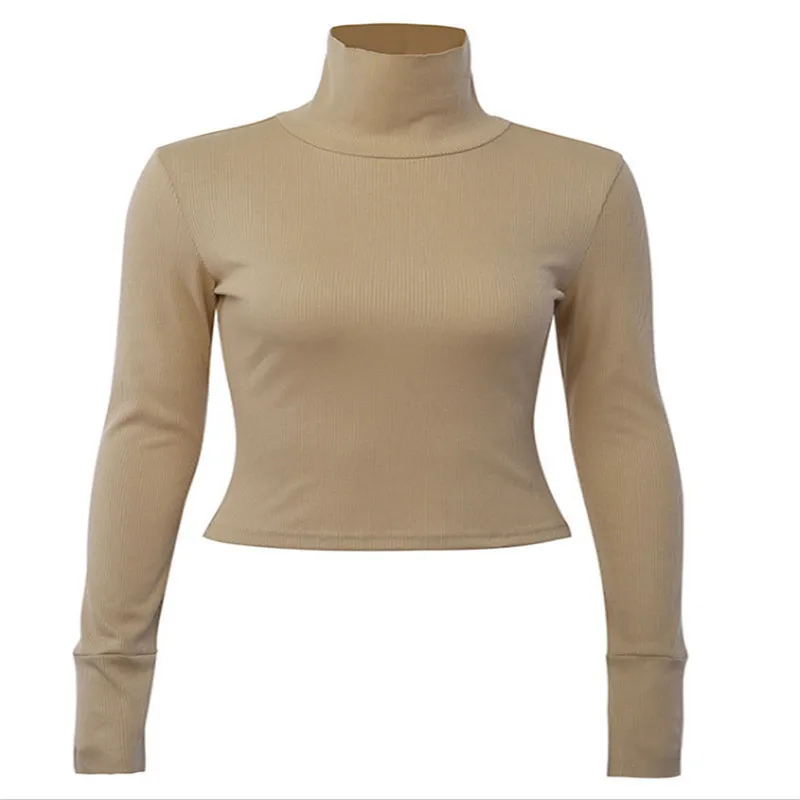

2020 Autumn Winter Solid Sweater Women Knitted Ribbed Pullover Sweater Long Sleeve Turtleneck Slim Jumper Soft Warm Pull Femme