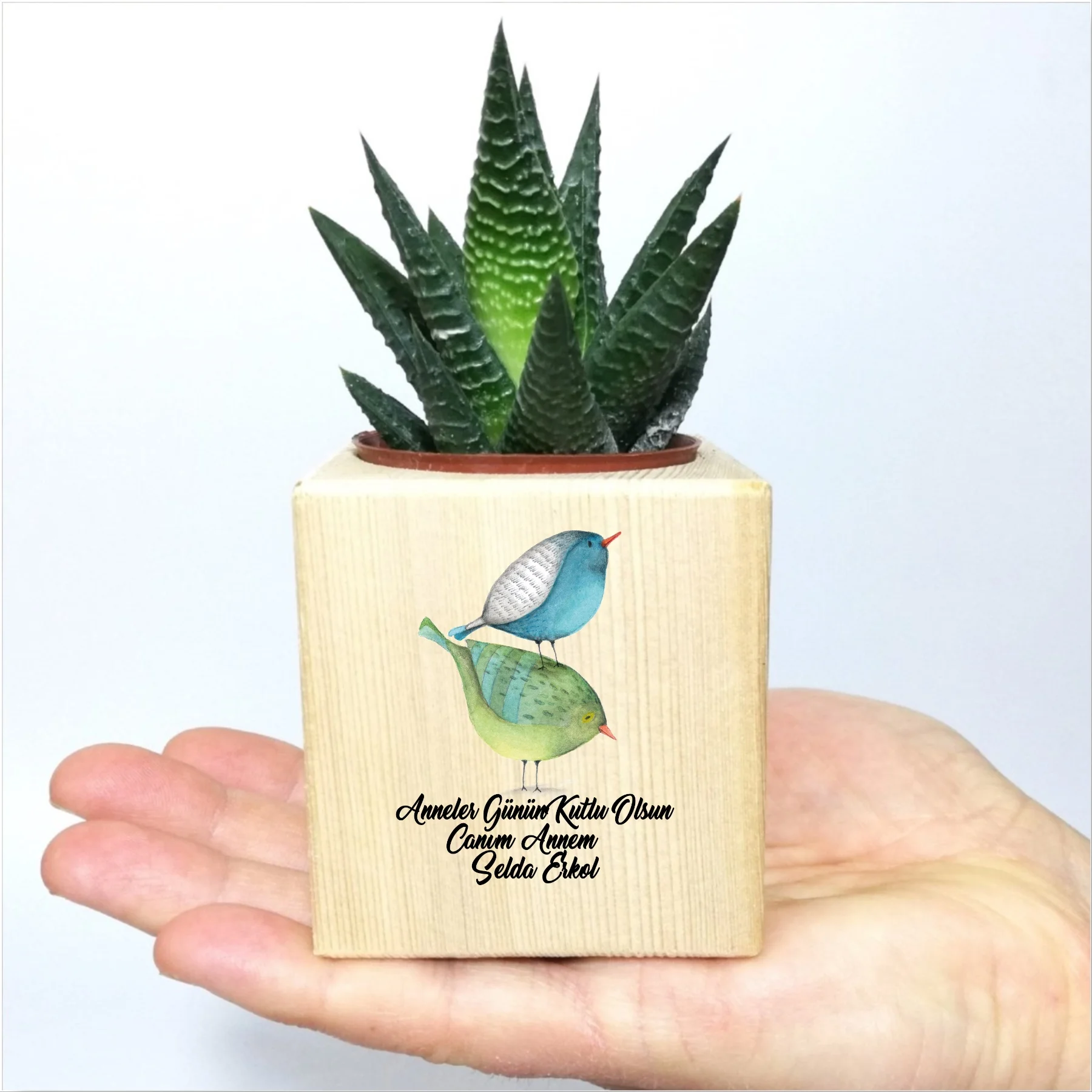 

Personalized Mother Gift Cube Sukulent In Pots